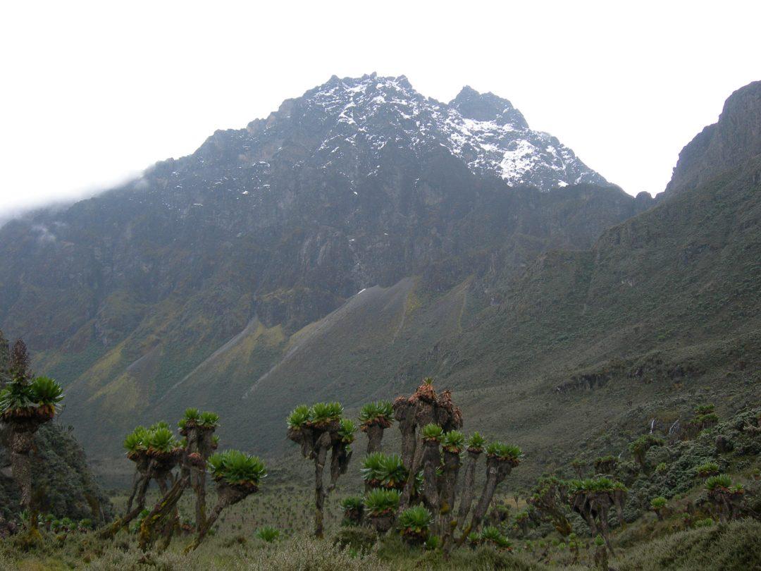 Mt. Elgon